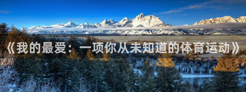 《我的最爱：一项你从未知道的体育运动》
