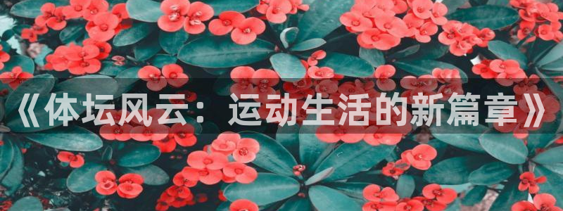新闻图片